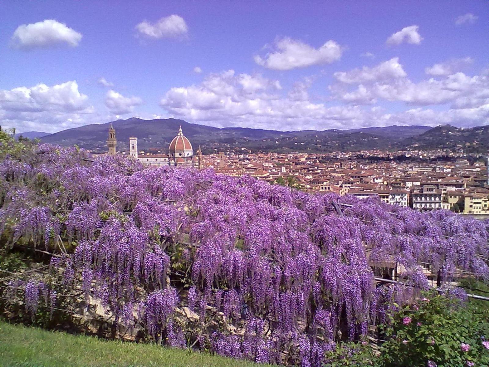 Appartamento la Bella Vita Firenze Esterno foto